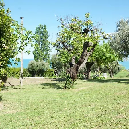 Coriolano